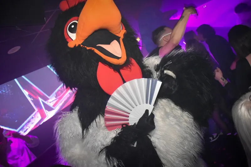 Photo de la soirée Made In France